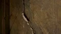 Walls of old abandoned building cracked and paint peeled off, continuous decay HD Footage