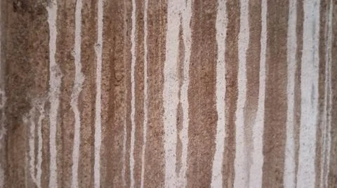 The walls 스톡 사진
