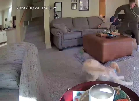 Wally Full Sends Over the Couch, Green Lake, Wisconsin, USA - 18 Oct 2025 Stock Footage 308311103