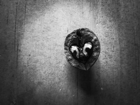 Walnnut 写真素材