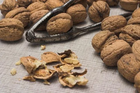 Walnsse Stock Photos