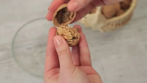 WALNUT 2 Stock Footage 155075095