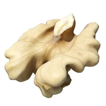 Walnut 3d illustration isolated on the white background Stock Illustration