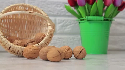 WALNUT 5 Stock Footage 155075000