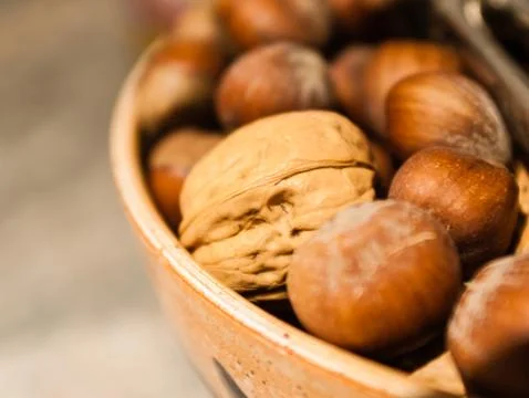 Walnut among hazel nuts. Stock Photos
