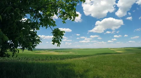 Walnut and farmers' fields Stock Footage 51016828