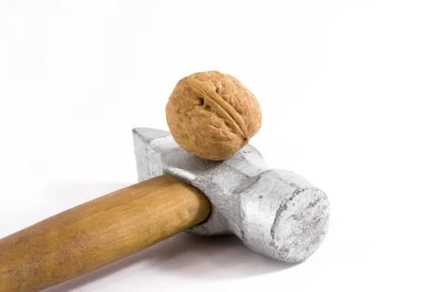 Walnut and Hammer. Stock Photos