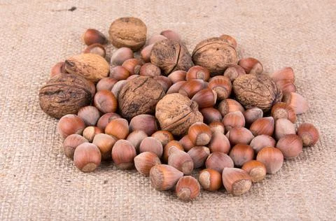 Walnut and hazelnut on burlap background Stock Photos
