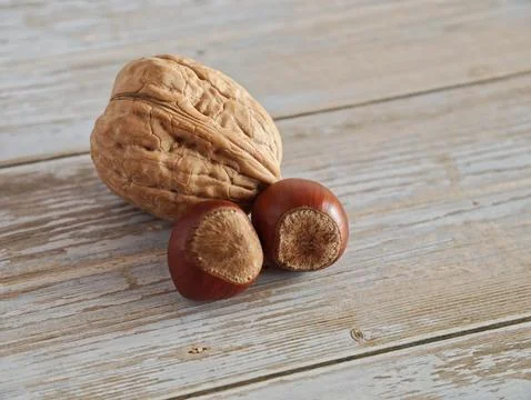 Walnut and Hazelnuts in Shell on Rustic Wooden Table Stock Photos