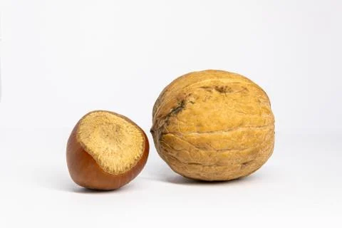 Walnut and hazelnuts on a white background Stock Photos