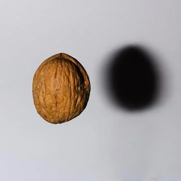 A walnut and its shadow Stock Photos