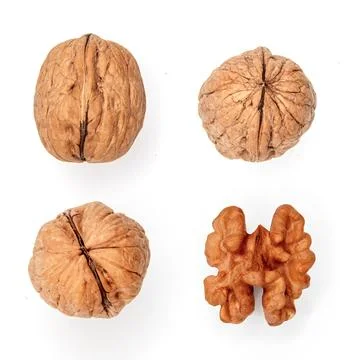 Walnut and kernel four view Stock Photos