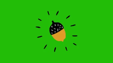 Walnut animation on green screen Vidéo 328229055