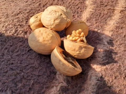 Walnut background and texture. Stockfoto's