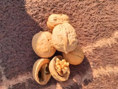 Walnut background and texture. Stockfoto's