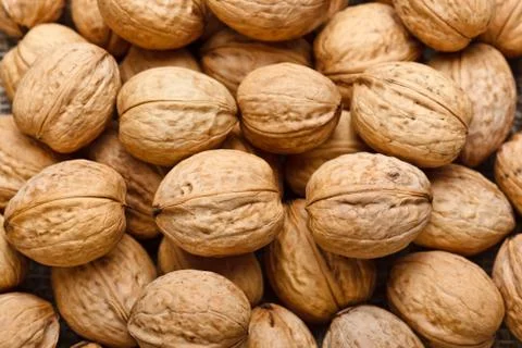 Walnut background Stock Photos