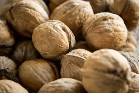 Walnut background Stock Photos