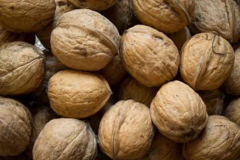 Walnut background Stock Photos