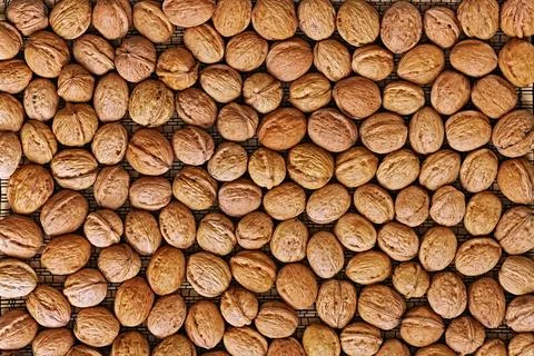 Walnut background. 스톡 사진