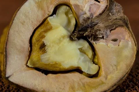 Walnut as a background with the possibility of adding text, macro photography. Stock Photos