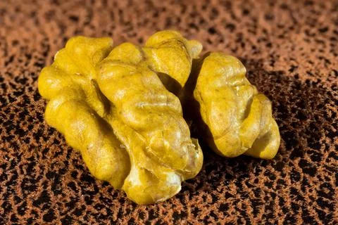 Walnut as a background with the possibility of adding text, macro photography. Stock Photos