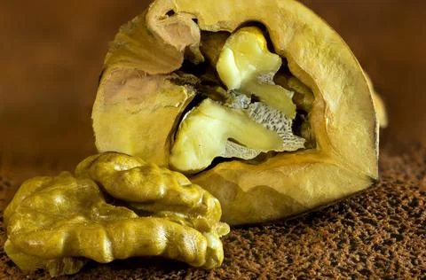 Walnut as a background with the possibility of adding text, macro photography. Stock Photos