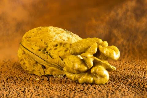 Walnut as a background with the possibility of adding text, macro photography. Stock Photos