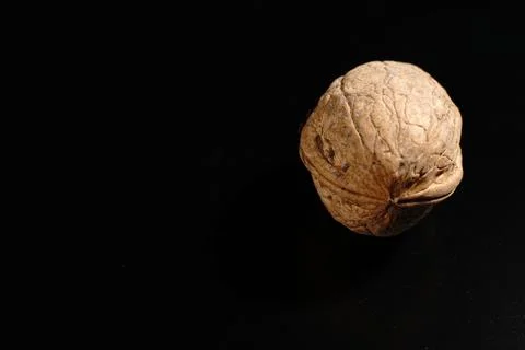 Walnut on a black background. The light was dim. Stock Photos
