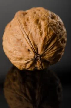 Walnut on black background Stock Photos