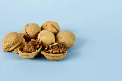 Walnut on a blue background in close-up. Stock Photos