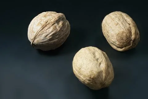 Walnut on a blue background Stock Photos