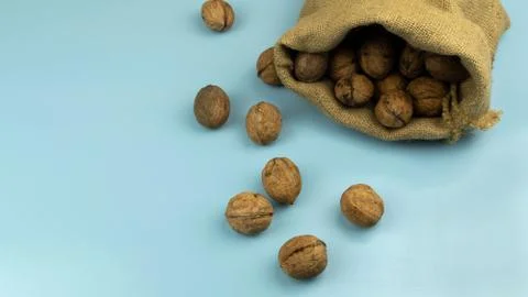 Walnut on blue Stock Photos