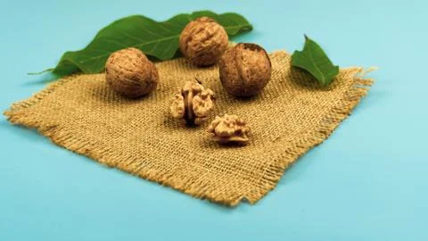 Walnut on blue Foto stock