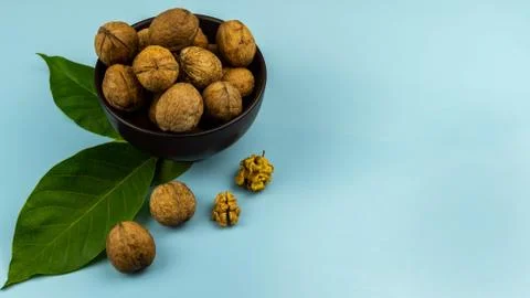 Walnut on blue Stock Photos