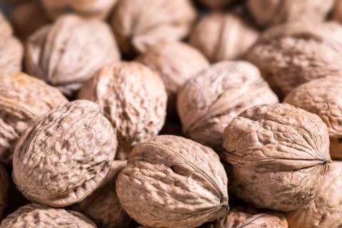 Walnut Blurred Background Stock Photos