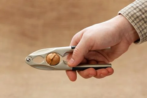 Walnut breaking Stock Photos