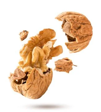 Walnut broken flying close-up on a white background. Stock Photos