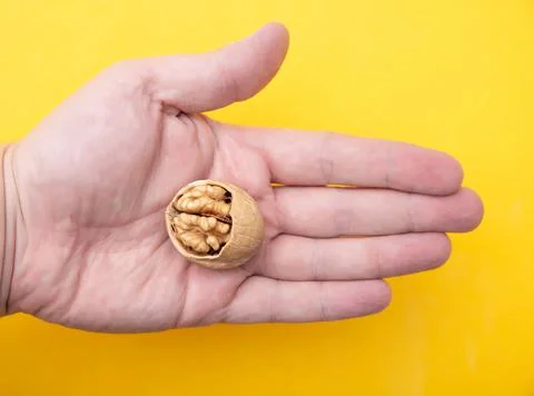 Walnut with a broken shell in the palm of a man on a yellow background, close-up Photos