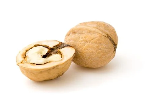Walnut brown closeup on white Stock Photos
