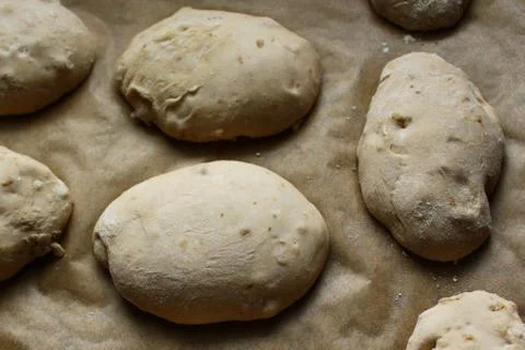 Walnut bun dough in a bakery Stock Photos