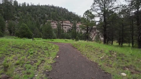 Walnut Canyon | 4K FPV Drone Footage Stock Footage 312901819