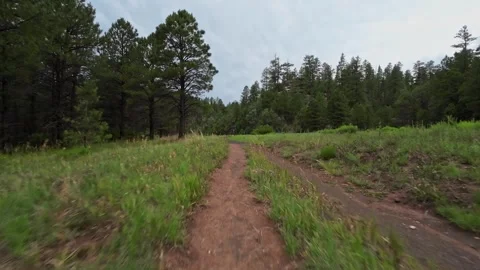 Walnut Canyon - FPV 1 Stock Footage 312900993