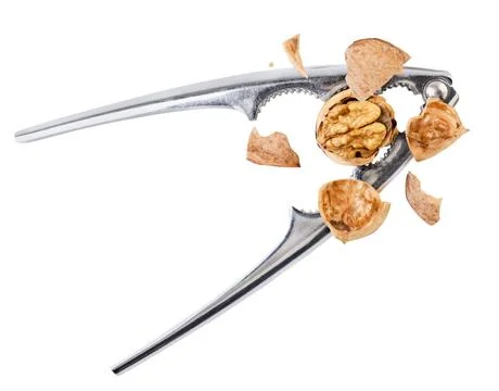 Walnut chopped with nutcracker drops on a white background, cut out. Isolated 库存照片