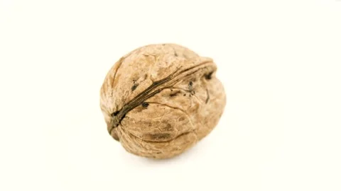 Walnut close up footage.Close Up Macro Shots. Stock Footage 150271572