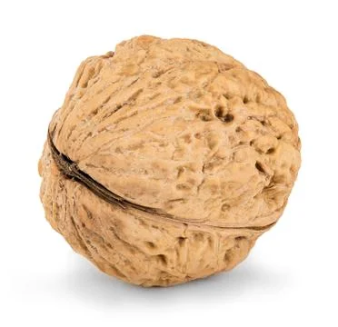 Walnut close-up isolated on a white background Stock Photos