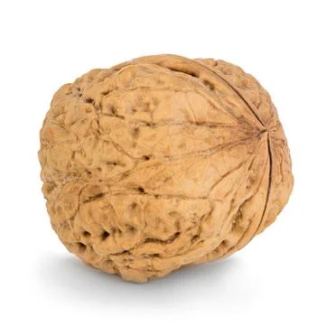 Walnut close-up isolated on a white background Stock Photos
