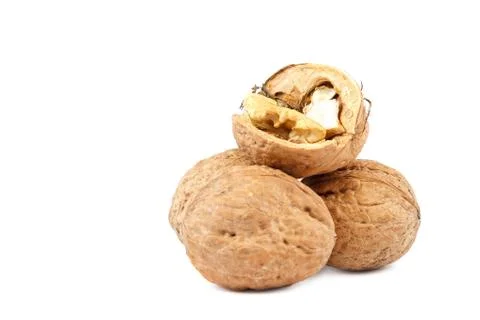 Walnut close-up isolated on a white background. Stock Photos