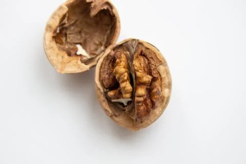 Walnut close - up isolated on a white background. Stock Photos