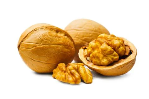 Walnut close up isolated on white background 스톡 사진