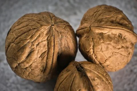 Walnut close up macro on black background. Stock Photos